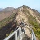 고향산천 Daum카페