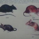 신세기방역 네이버블로그