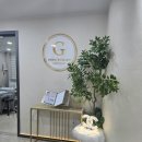 조은메디칼 | 탄방동피부관리 피부가 알아보는 섬세한 손길의 차이 조은테라피