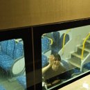 훈마켓 - 해운대구 | 훈마켓