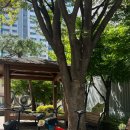 희재농장 이미지