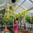 (주)비비드몰 이미지