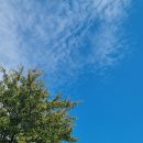 제주관광대학 컨벤션홀 이미지