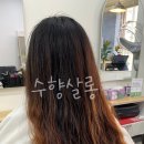 수향미용실 이미지