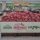 데이지주 이미지