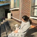 스텔라의 행복정원 이미지