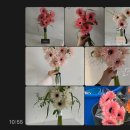 수담 | W7 부산 가성비 웨딩촬영부케 수담플라워 내돈내산 후기