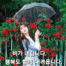 미소화