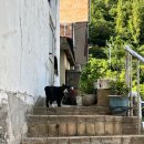 나리 민박 이미지