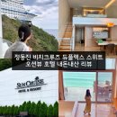 부양어린이공원 | 정동진 비치크루즈 듀플렉스 스위트 내돈내산 준비물 룸업그레이드 실화...?