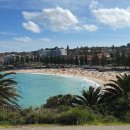 뉴해안풍경 | 호주 시드니 여행 본다이비치 쿠지비치 코스탈워크 코스 도중에 포기한 후기