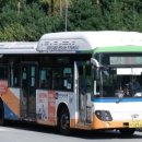 삼안여객 이미지