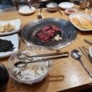꿈꾸는황소 이미지