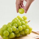 풍년청과 이미지