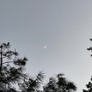 제주앓이 이미지