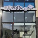 뽀독뽀DOG 네이버블로그