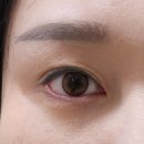 천리안안경 이미지