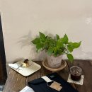리에코 | [노트북파우치 추천] 리사이클링 브랜드, 리에코서울 스콘 랩탑 파우치