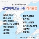 유앤아이잉글리시1대1원어민영어회화 네이버블로그