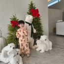 언니네 꼬마김밥 | 강화도 유니아일랜드 1박 후기 (아이와함께, 내돈내산)