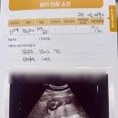 진오비산부인과의원 이미지