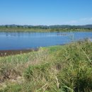 삼대당구장 이미지