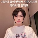 눈나무집 이미지