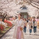 롯데리아 대전신성 | 강진 남미륵사 봄꽃 여행 개화 시기와 필수 방문 정보