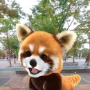 자이언트텔레콤 이미지