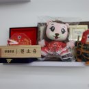 중국무술우슈쿵후도장 이미지