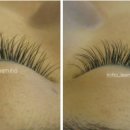 이미호아이래쉬 이미지