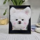 아시아드세탁소 | 키우고 싶은 강아지 액자 만들기_원데이 클래스_수업 후기