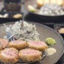 엘리카츠 이미지