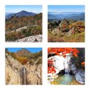 10월 18일[제2,142차] 광주시 무등산(1,187m) 대체산행 안내 [설악산 단풍산행은 참여인원 저조로 취소되었습니다] 이미지