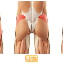 머슬메카 이미지