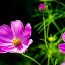 대황강자연휴식공원 이미지