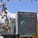 옥과농협주유소 이미지