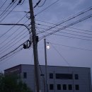 신호카포스 이미지