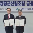 양수리전통시장(양평양수리시장) 이미지