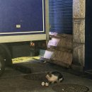 효창공원앞역 3번 출구 이미지