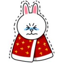 옥천애견미용 이미지