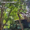 꺼먹동네 이미지