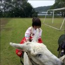 예광몬테소리어린이집 이미지