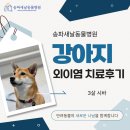유앤동물병원 | 오금동 동물병원 강아지 외이염 치료후기
