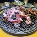 신마포갈매기제주일도점 이미지