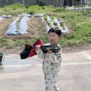 풍년농자재백화점 이미지