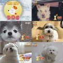 독곰농장 이미지