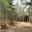 일퍼센트,일백퍼센트 이미지