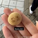 (주)스마트짐보드 | 행팔이고뭐고햄들다