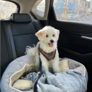 인스타광고 오지는 샵사이다 아세요?ㅋㅋㅋ5개 사봤는데 재밌어요... 이미지